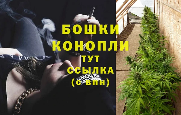 MESCALINE Вяземский